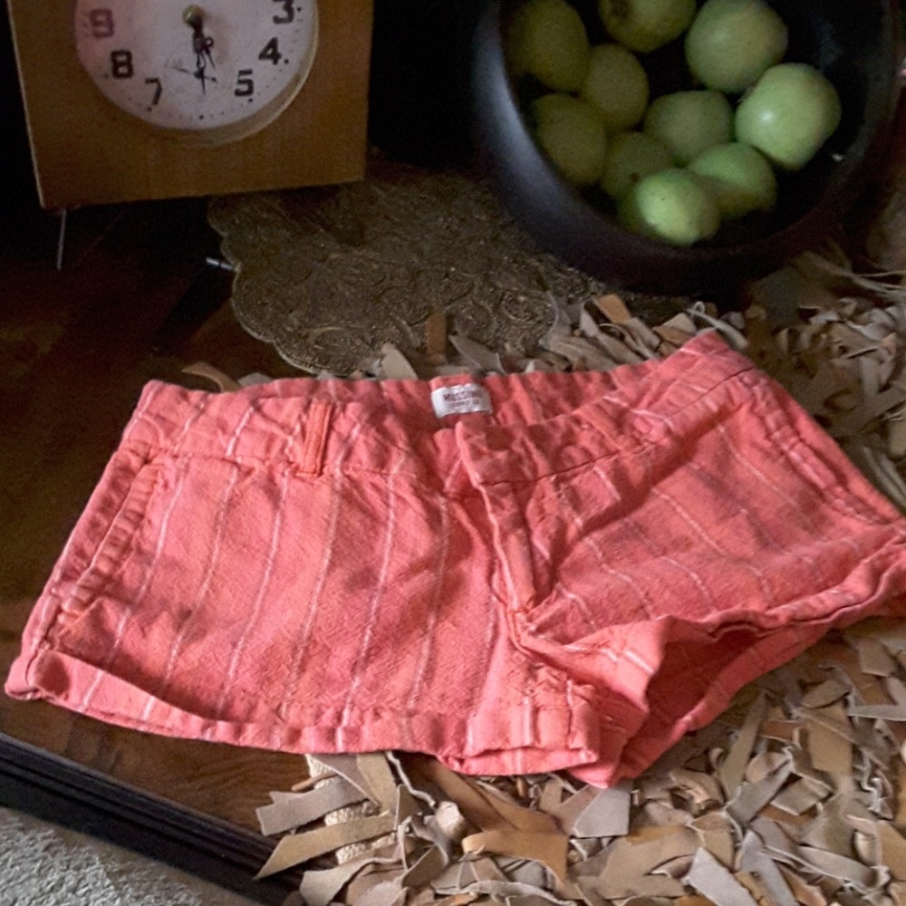 Pinstriped summer shorts size 9